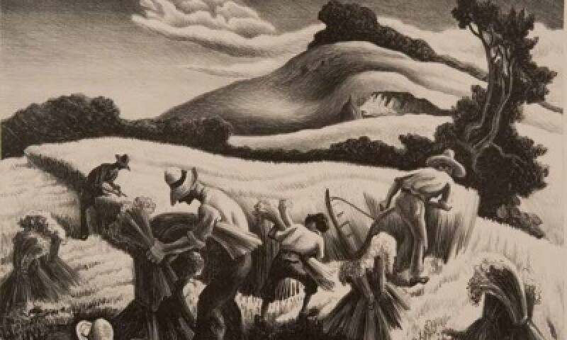 Cradling Wheat