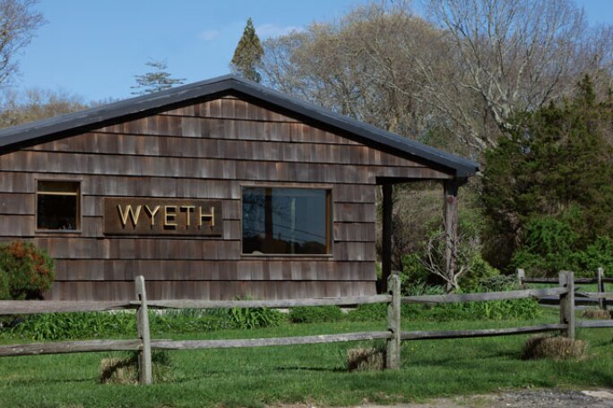 wyeth-new-1.jpg