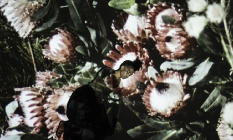 uriel_orlow_botanical_dreams_2016-2017_media_gallery_res.jpg