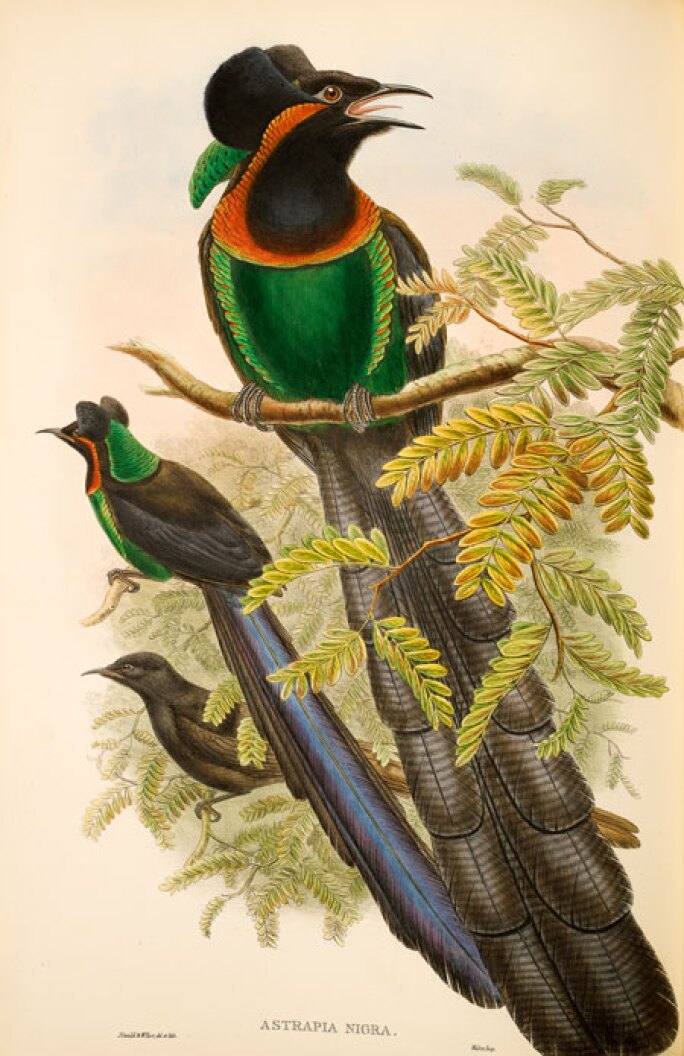 gould-7-165l18401-7mfsc.jpg