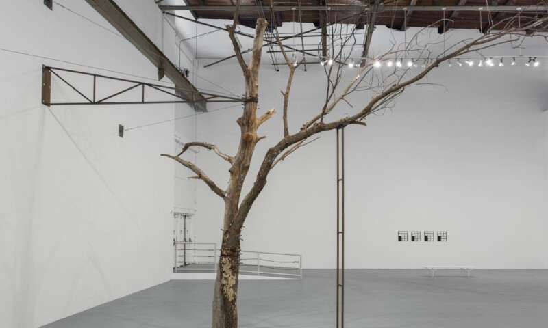Zoe Leonard LA Moca.jpg