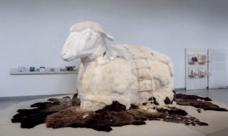 100 percent wool.jpg