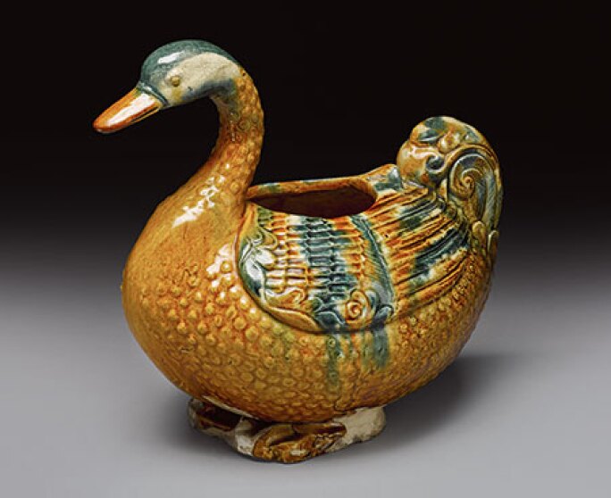 n09393-gooseessay-fig4d.jpg