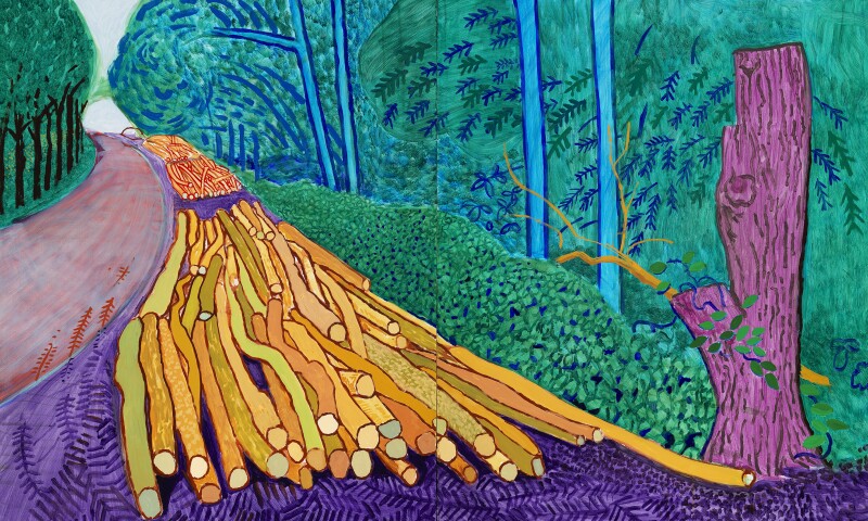 MoreFelledTreesWoldgate_HR.jpg