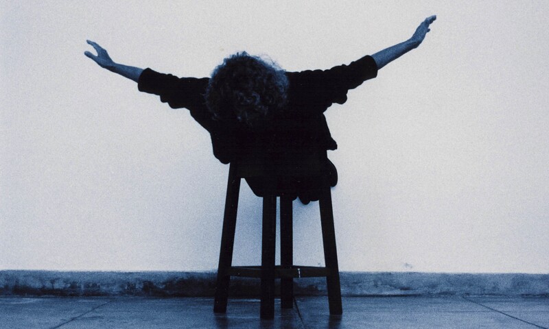 Voar To Fly.jpg