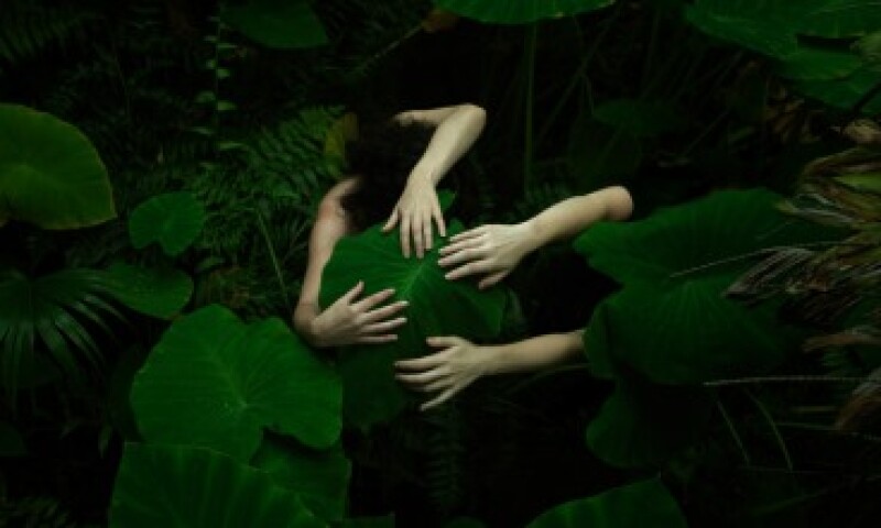 Tamara Dean, Elephant Ear