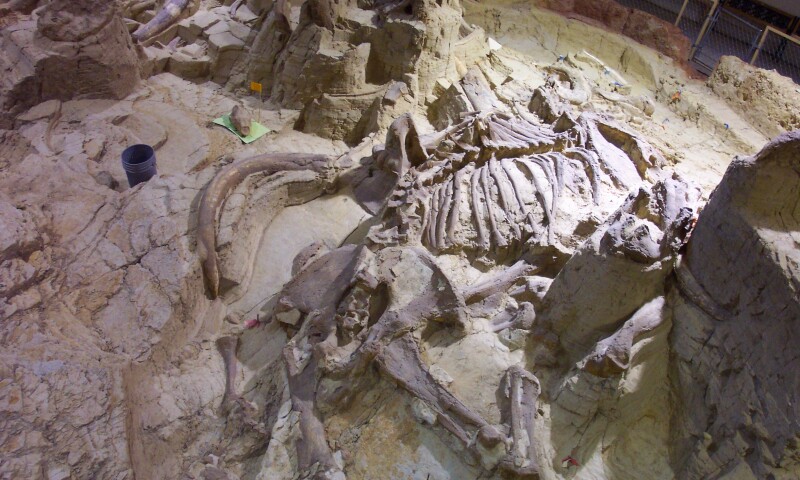 Mammoth_Hotsprings_detail
