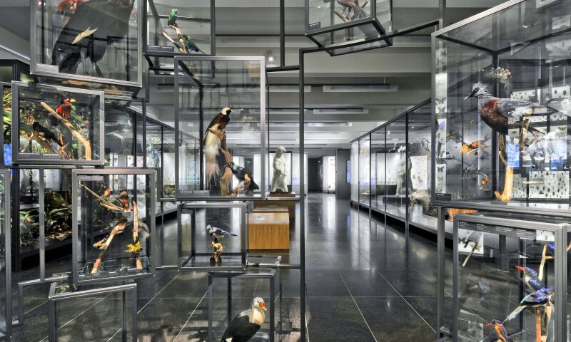 Interior view of the Museum Wiesbaden.