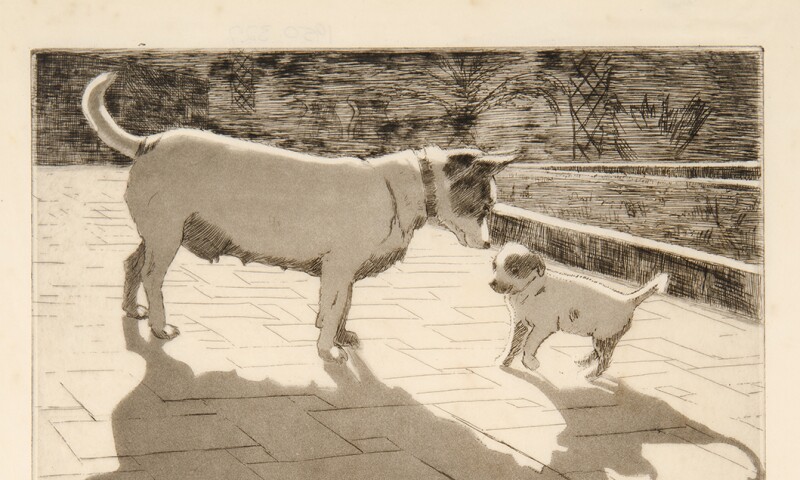 Two Dogs