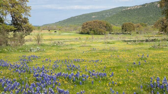 Texas Hill Country