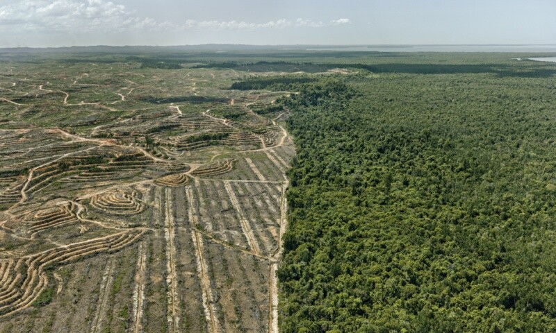 Anthropocene.jpg