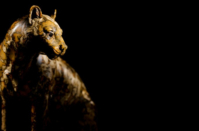 riahi-leopard-1.jpg