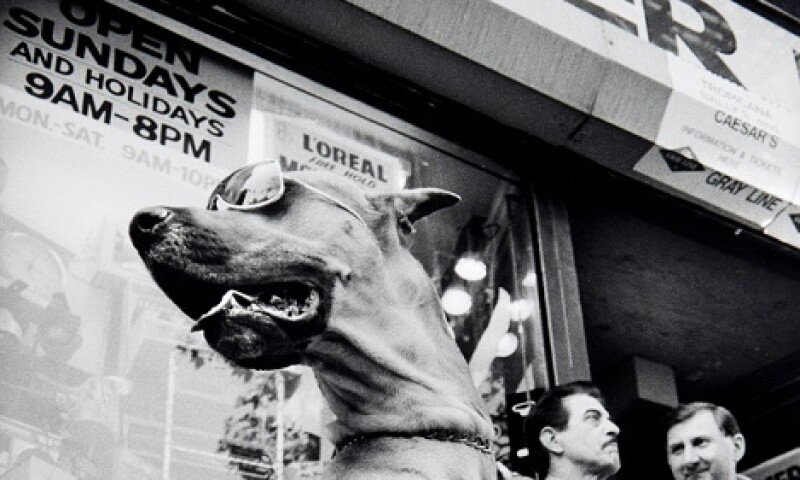 KenHeyman_DogInSunglasses_web.jpg