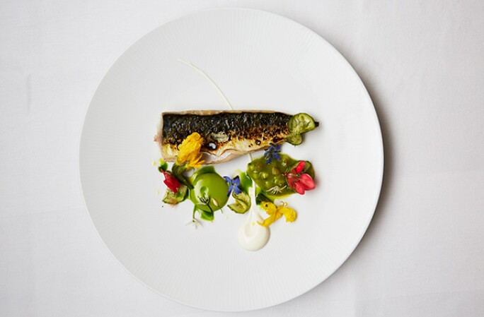 CORNISH MACKEREL, CUCUMBER KETCHUP, FROMAGE BLANC, WILD CUCUMBER, a dish available at Sotheby's restaurant.