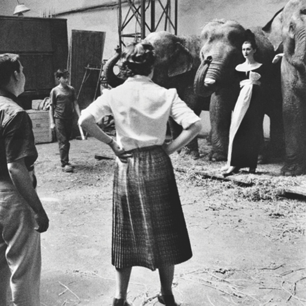 An Iconic Richard Avedon Photograph Leads Paris Auction | Photographs